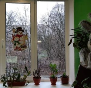 5м